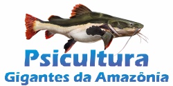 Piscicultura Gigantes da Amazônia